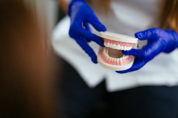 Best Dental Fillings (Composite and Amalgam)  in Mansfield, LA